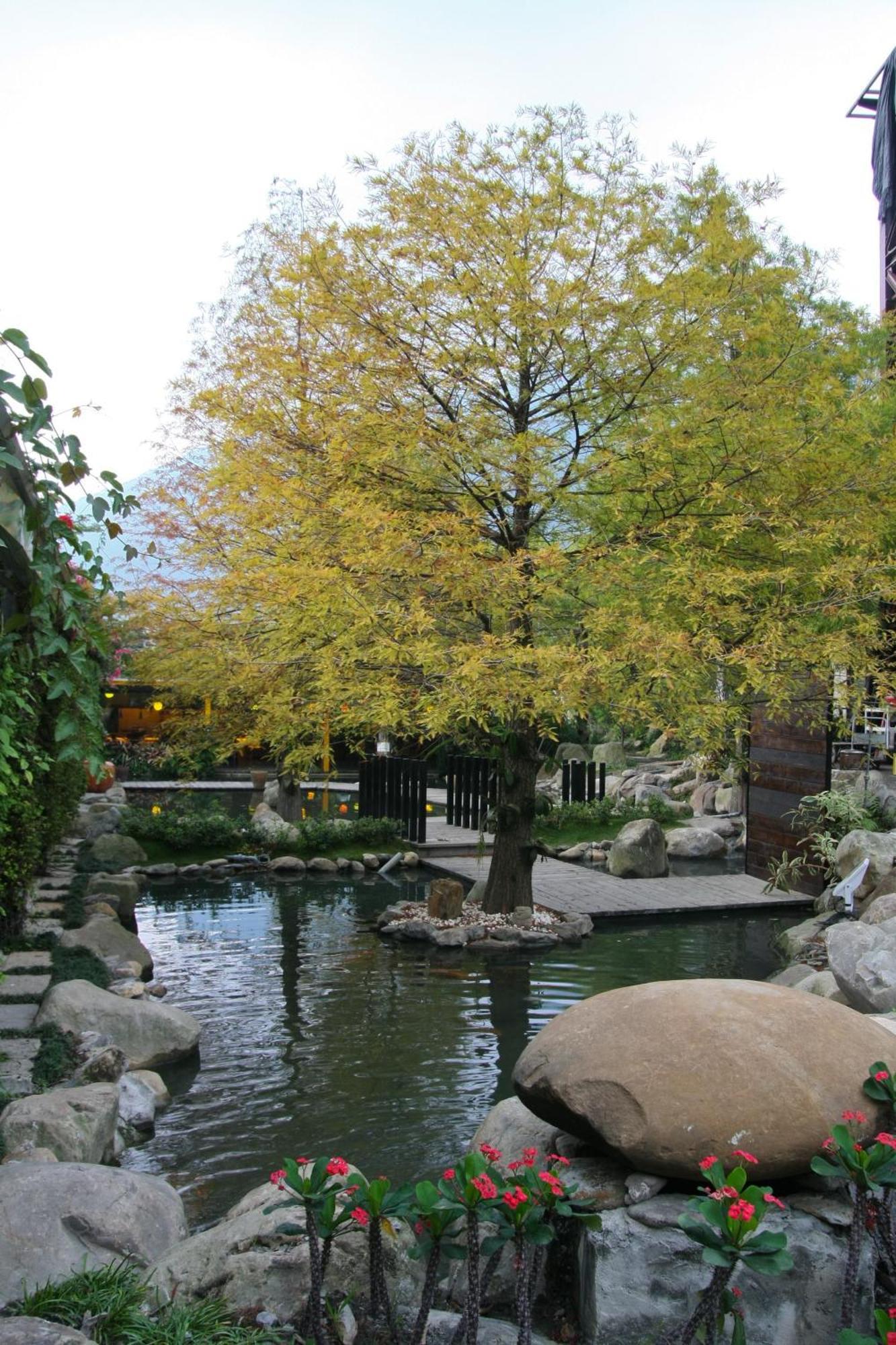 Tai-Yi Red Maple Resort Puli Exterior foto